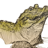 メンフクロウな紳士 檸檬商店 Note