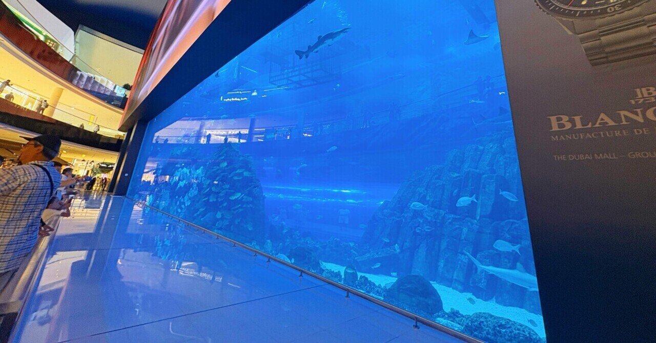 ドバイ旅行記 #8｜ドバイ水族館【2025年9月】世界最大級水槽と無料で見られる巨大アクリルパネル｜K Masera｜作曲家／グルメ探求家
