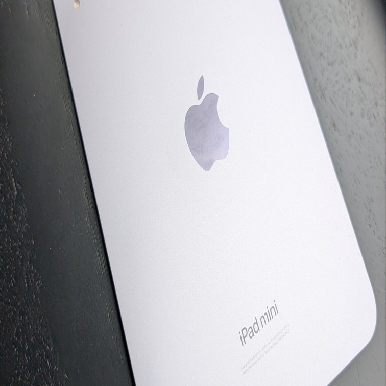 iPad mini が大好きな私が2ヶ月でiPad mini A17 proを使わなくなった