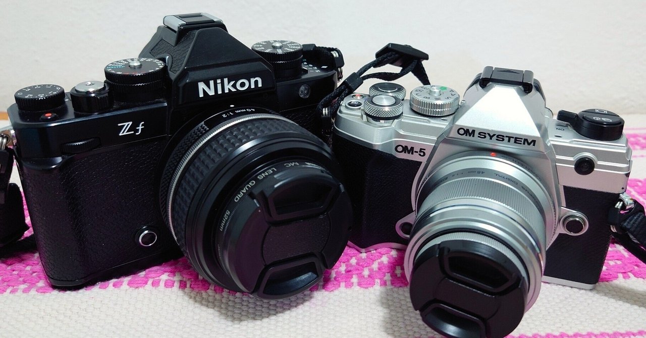 相棒をNikon Zfに決めた理由。｜さる。オアハカの人