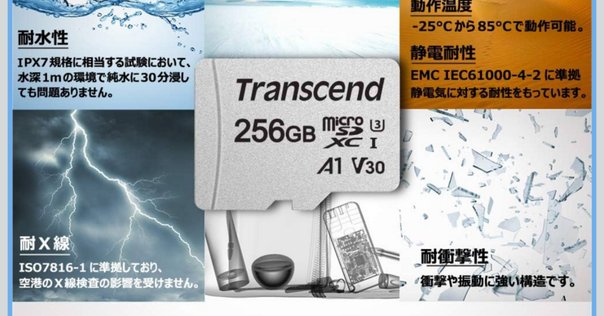 FUJIFILM X-S20におすすめのSDカード3選 性能にもコスパにも優れ