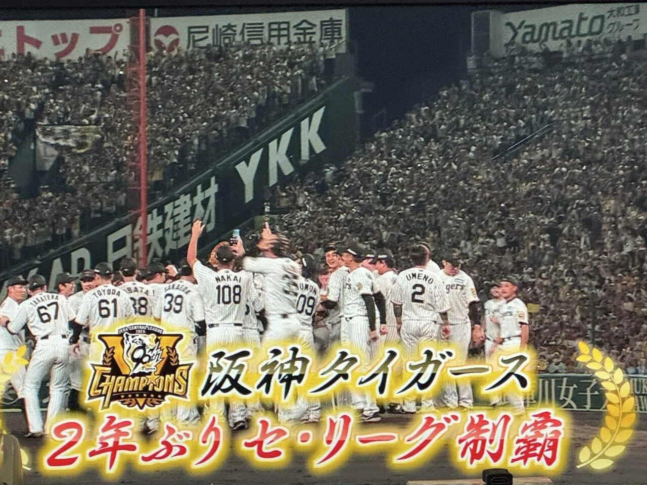 We Are Shining: Hanshin Tigers｜Anne