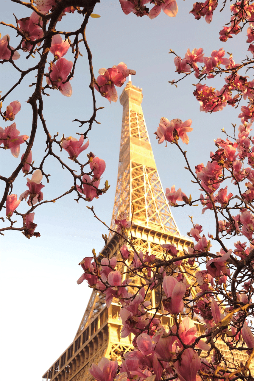 パリフォト散策 パリ 春の訪れ 年3月上旬撮影 Point2vue410 ポワン ドゥ ヴュ 視点 パリ Note