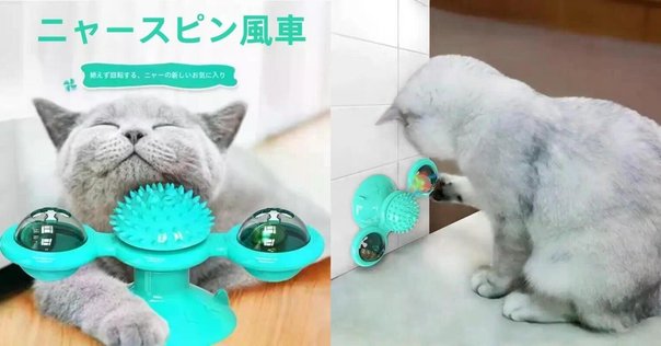 インテリアとしてもインパクト抜群！三日月型のかわいすぎる猫