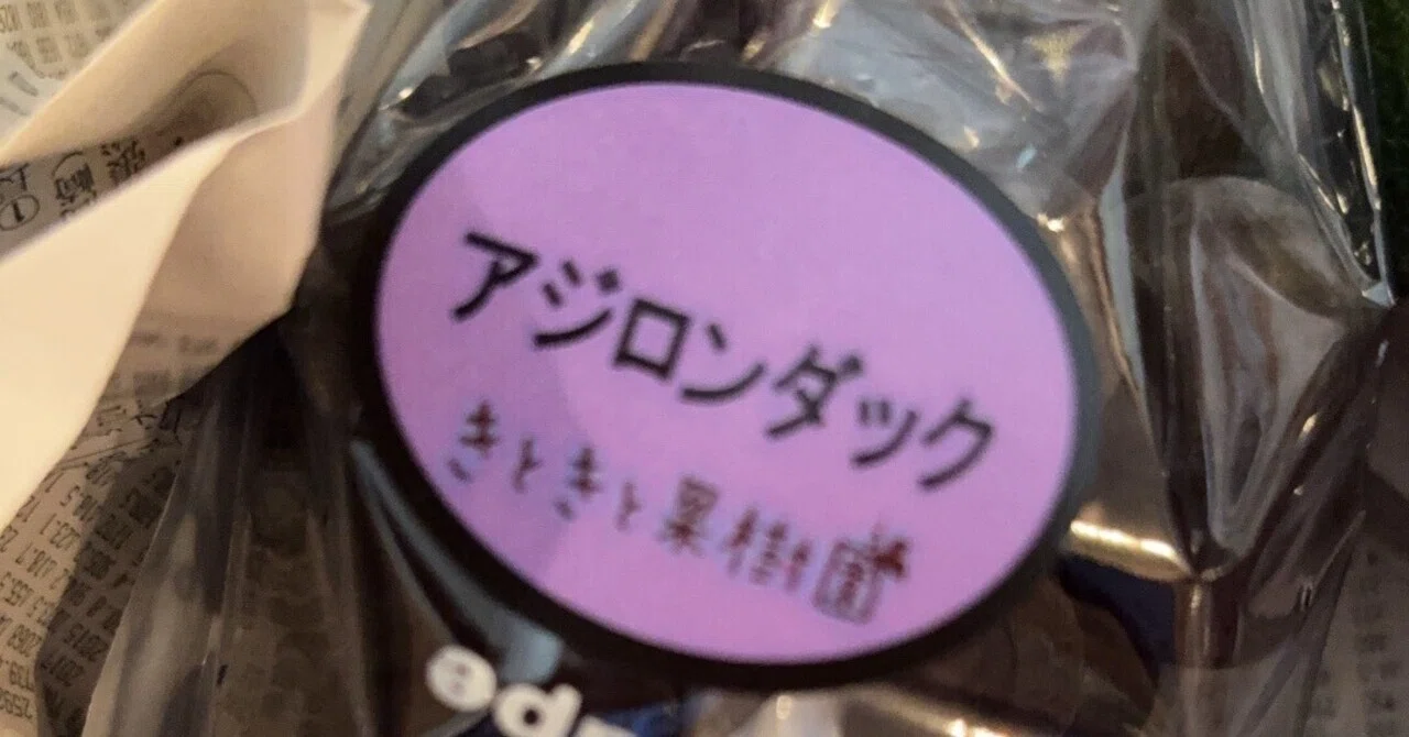 幻のぶどうin須金🍇｜ぎょろ