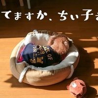 33 犬みたいな彼女と僕の話 カトウヒカリ Note