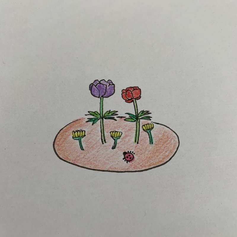 7 色鉛筆画 椿 Tsubaki Note