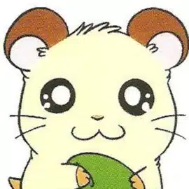 bansyu yanagi
