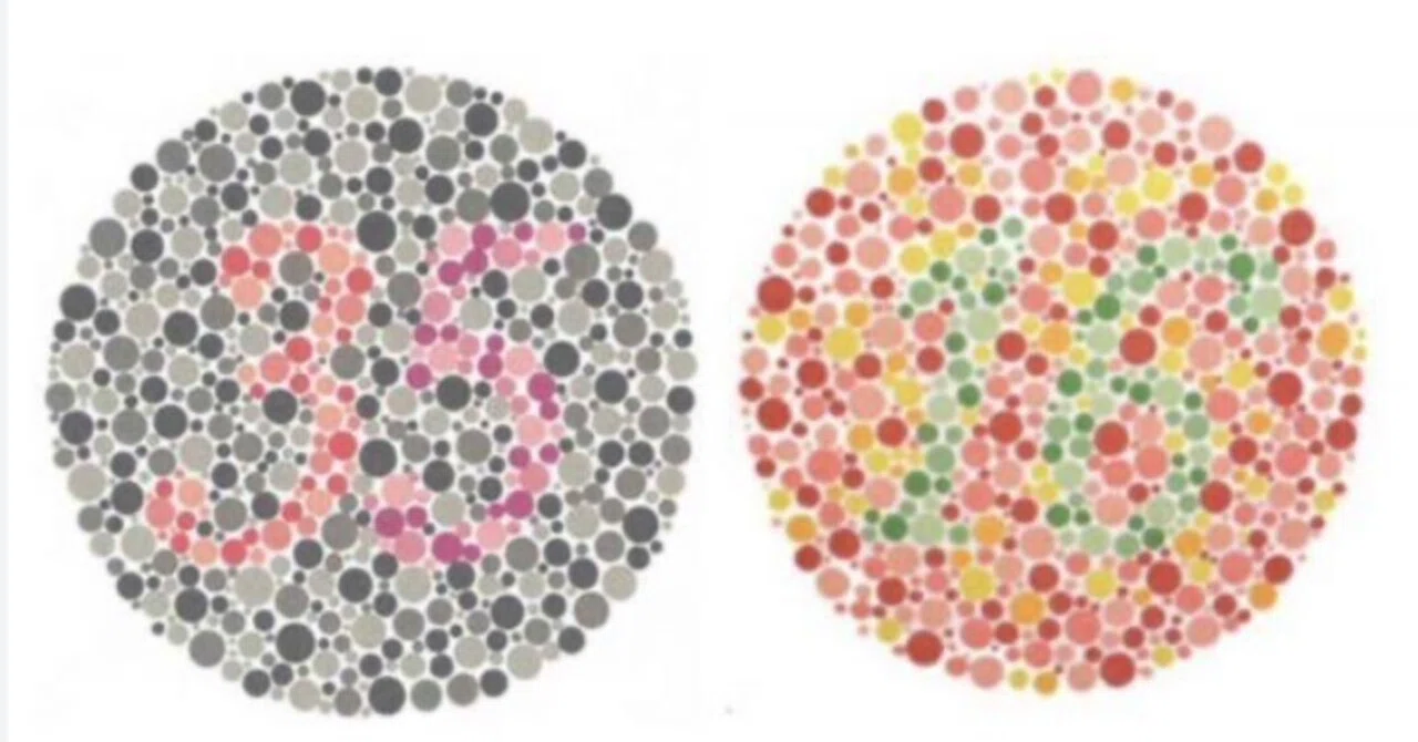 I Will Not Fake a Smile: Memories of Color Vision Deficiency｜矢野耕平