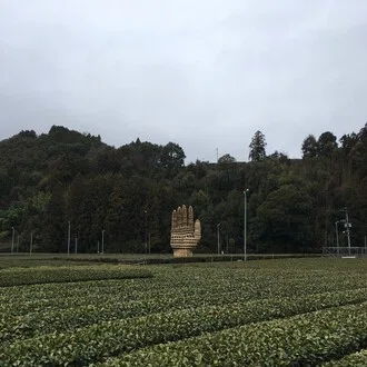 ステップバード