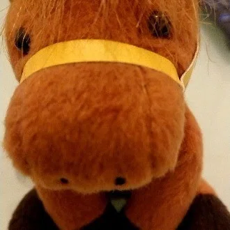 みかん