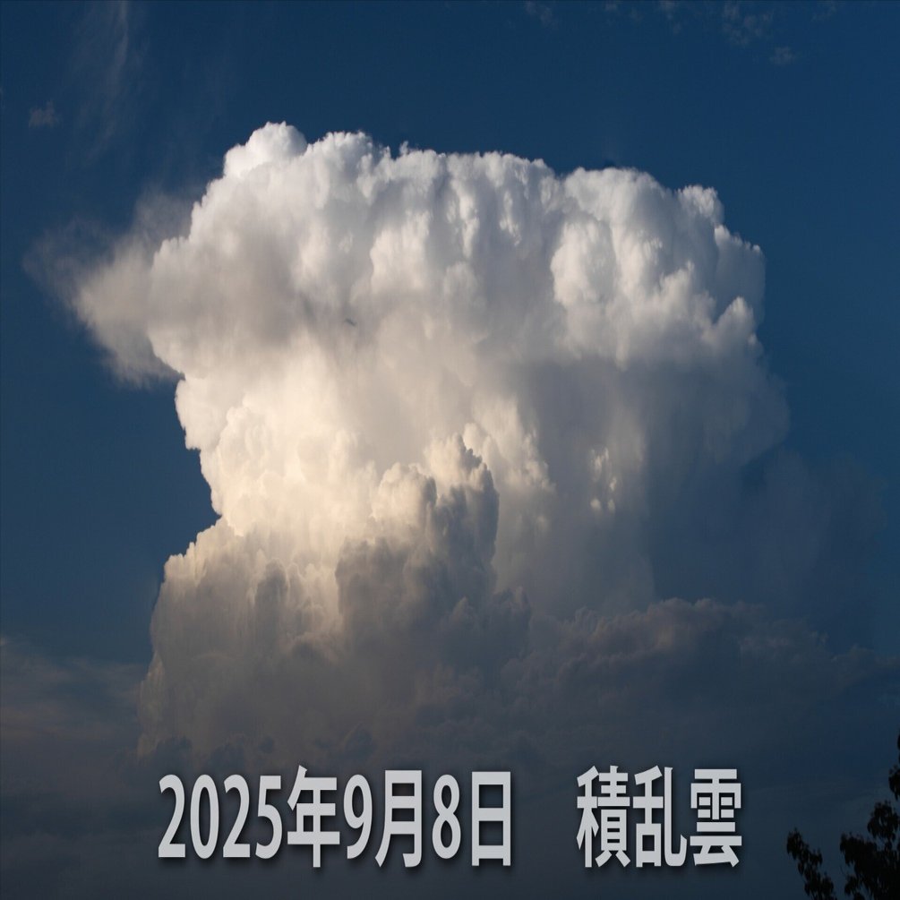 雲 2025年9月8日 積乱雲｜t.koba