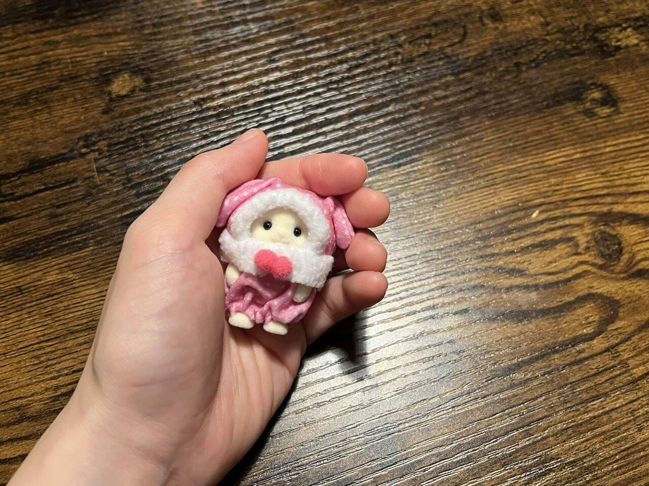 ついに、ようやく、あの、赤ちゃんカラフルウサギコスチュームを入手