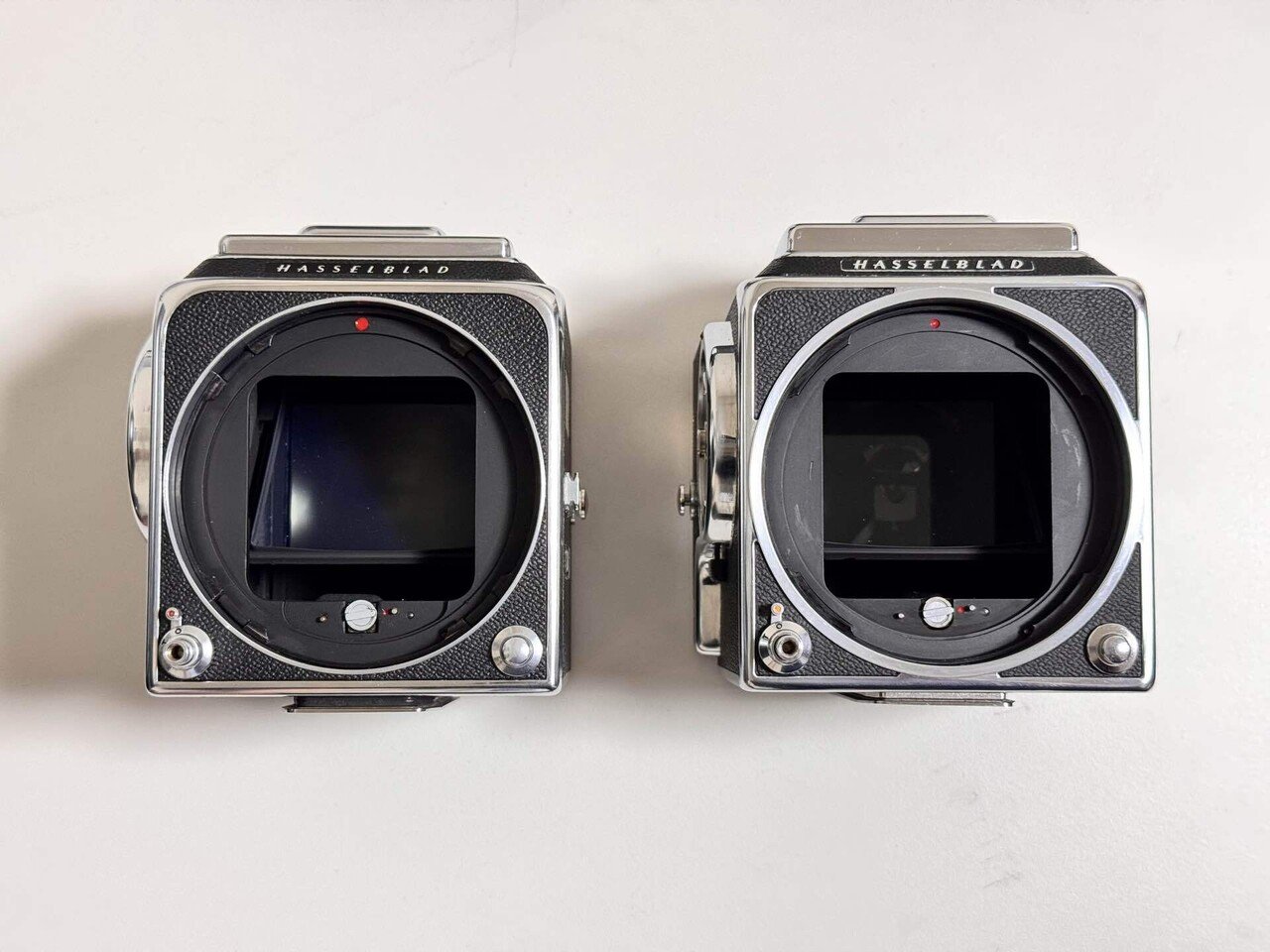 ハッセルブラッドhasselblad 500c プリズムファインダー2点作例アリ 作例レビュー】HASSELBLAD 500c｜#わたしのカメラ｜vol.008