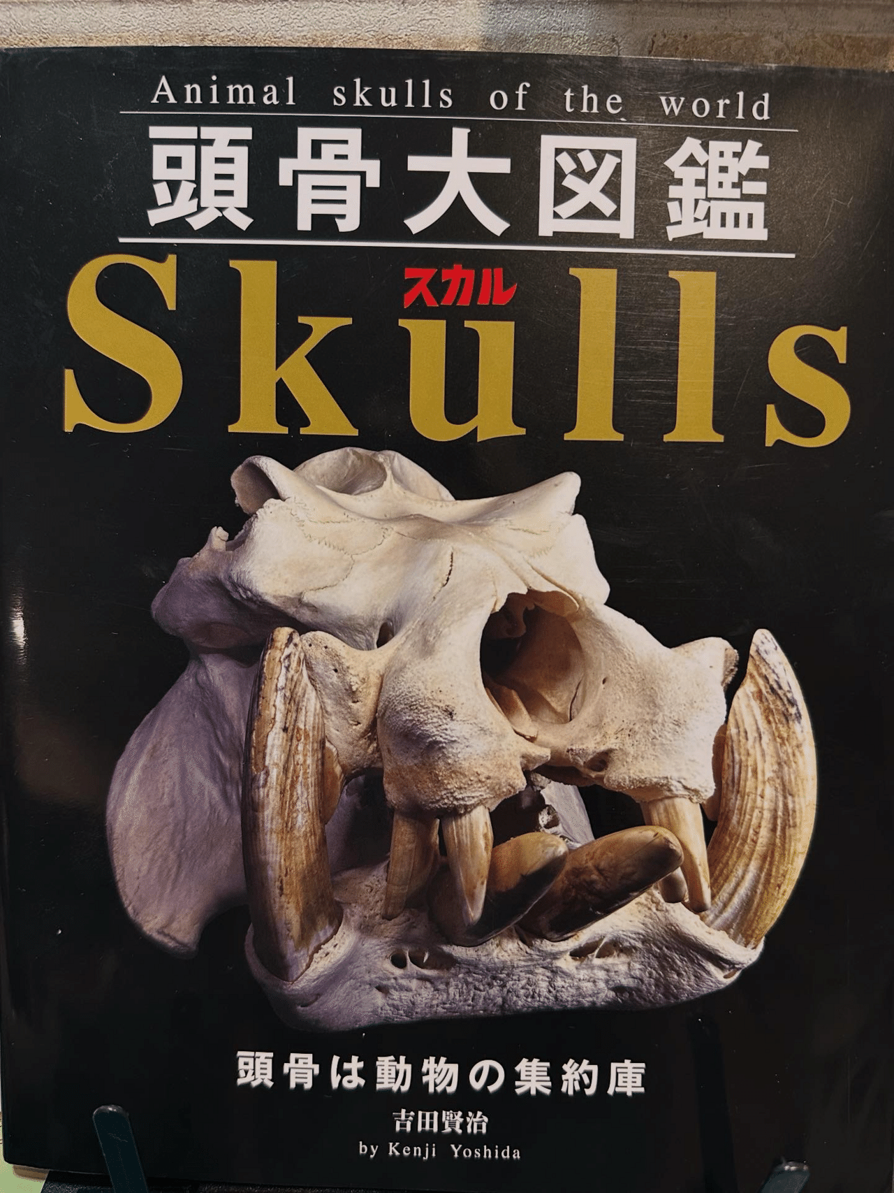 最近買って良かった本📕｜Alex Lab_Ayato