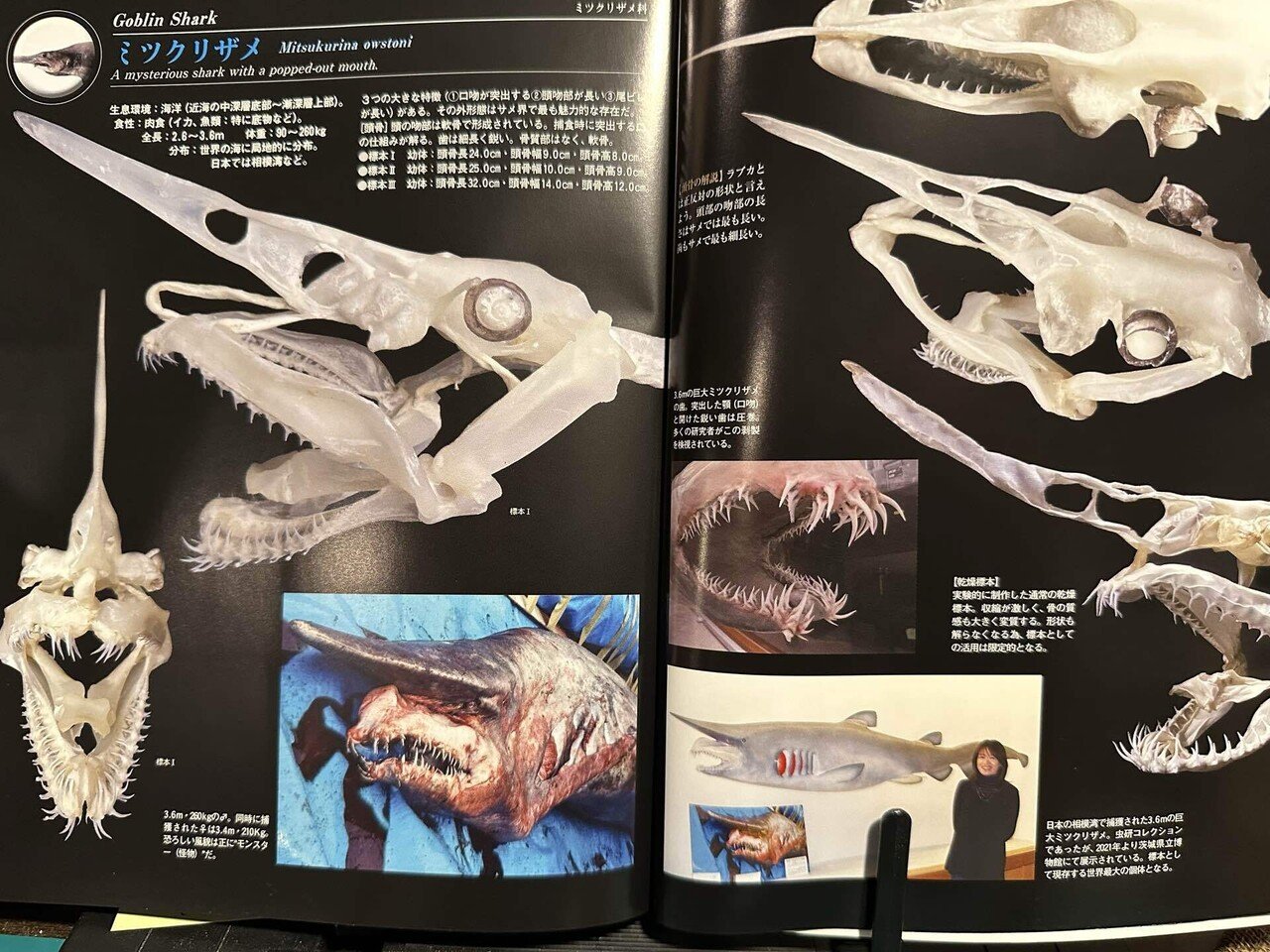 最近買って良かった本📕｜Alex Lab_Ayato