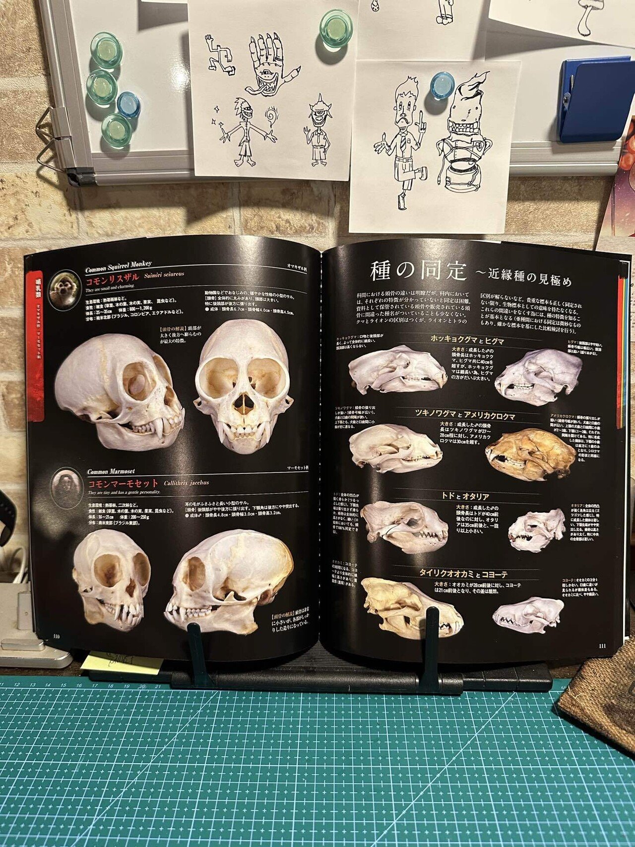 最近買って良かった本📕｜Alex Lab_Ayato