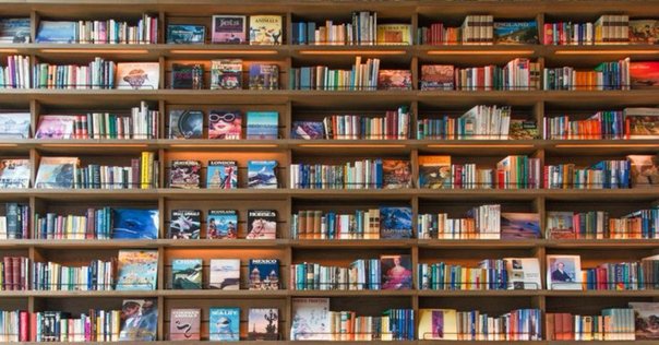 アートと資本主義の話（最近見た村上隆さんのYou tube