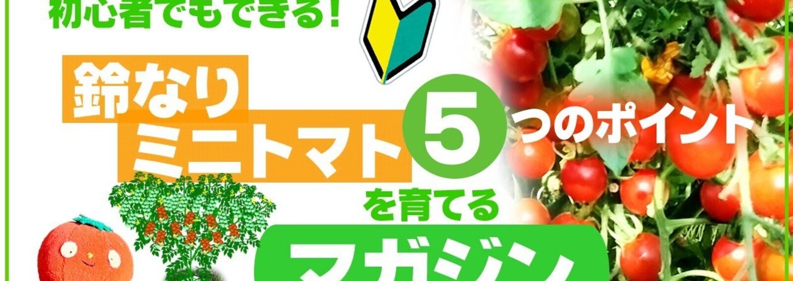 とまとん母さんの水耕栽培いろんなこと｜note