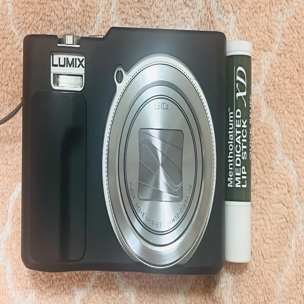 旅行にLUMIX DC-TZ99を持っていった｜サチ