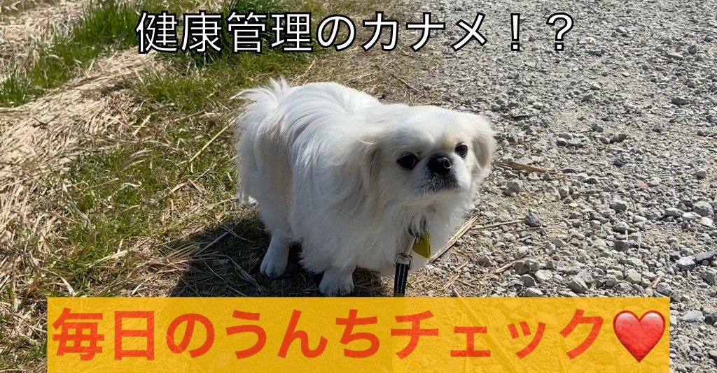 毎日のうんちチェック ドッグライフサポーター 獅子パパ Note 毎日のうんちチェック ドッグライフサポーター 獅子パパ Note