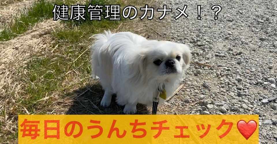 毎日のうんちチェック ドッグライフサポーター 獅子パパ Note