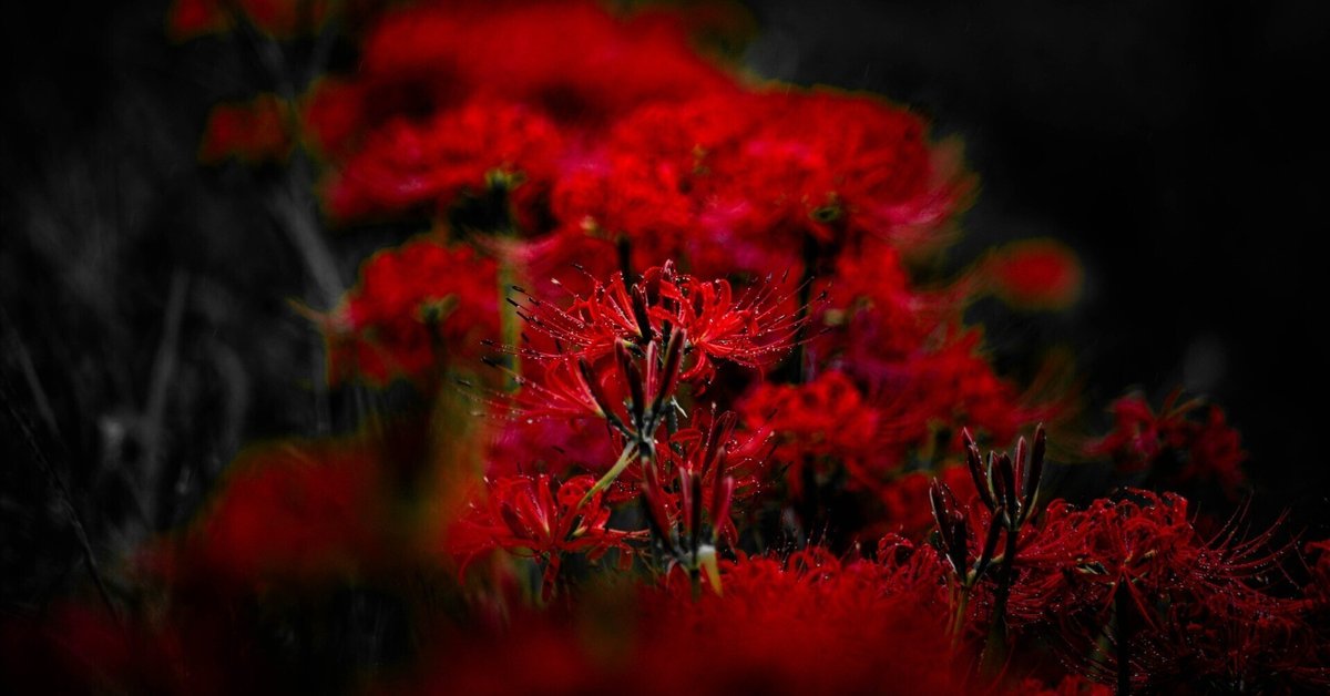彼岸花専用 Lightroom プリセット「曼珠沙華 - Higanbana Float