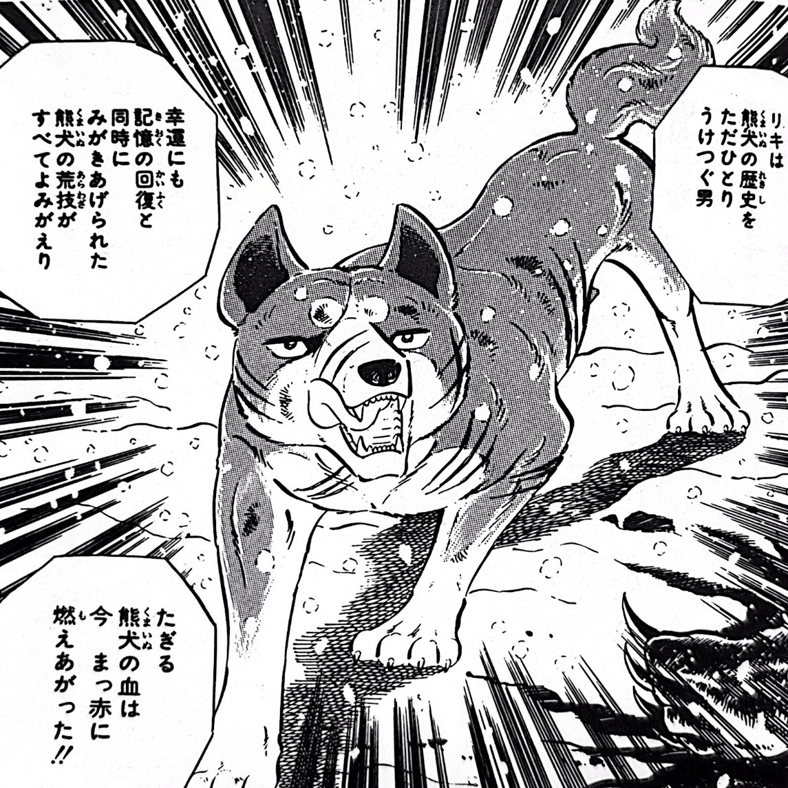 セル画 銀牙ー流れ星銀ー ジョン 黒虎 史上最高の