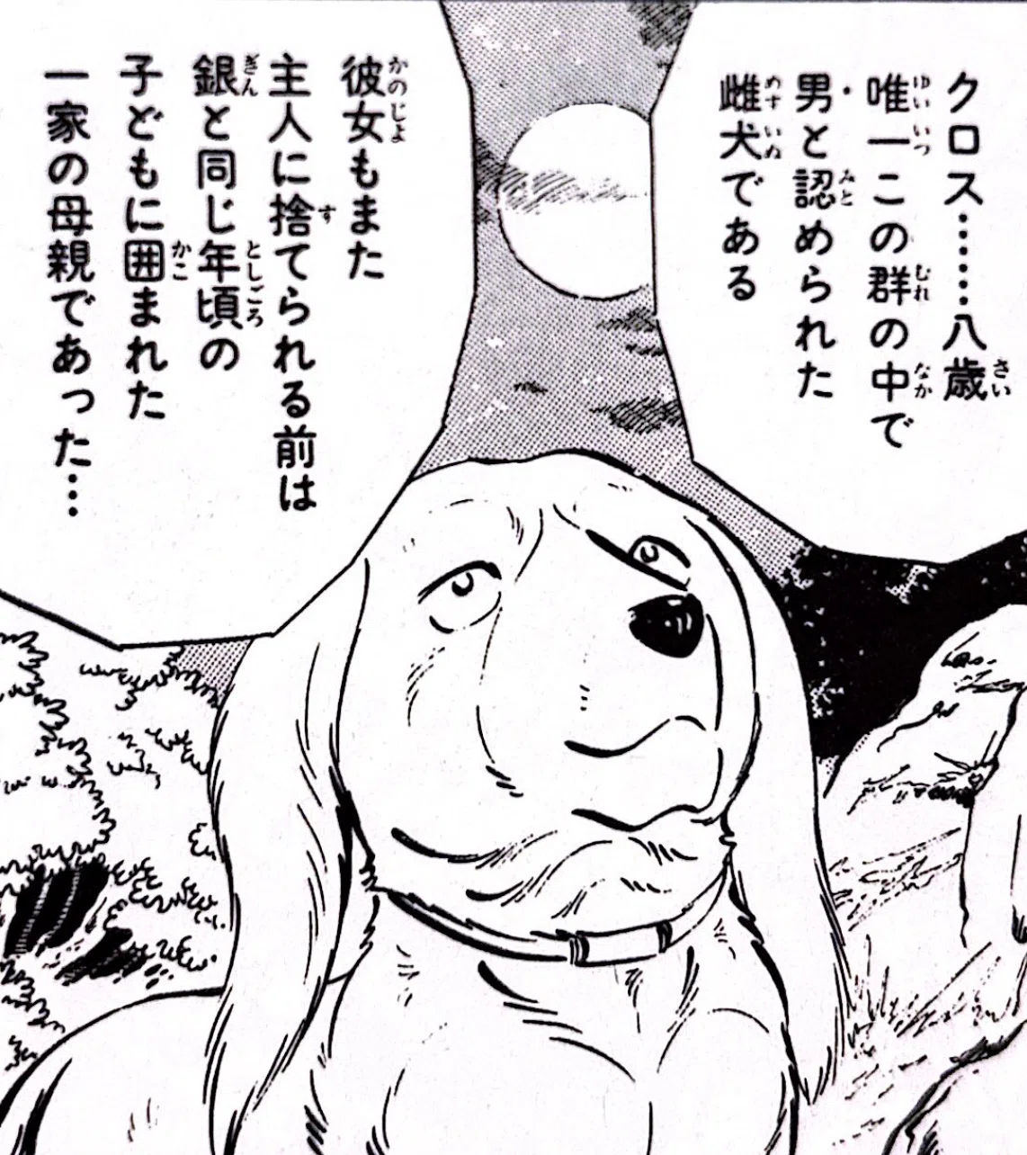 史上最高の