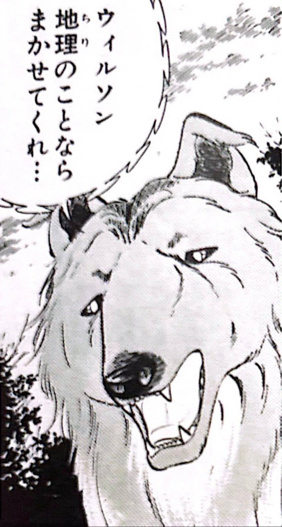 銀牙関連まとめて 立ち向かえ自分より少年ジャンプに！銀牙 流れ星銀｜ムゲンホンダナ