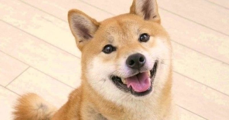 Webメディアへの広告掲載 Ibisty Note