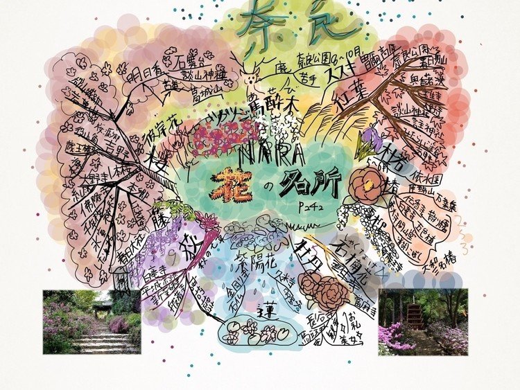 奈良検定お勉強 花の名所 #マインドマップ #花 #萩 #桜  #奈良 #勉強 #イラスト 