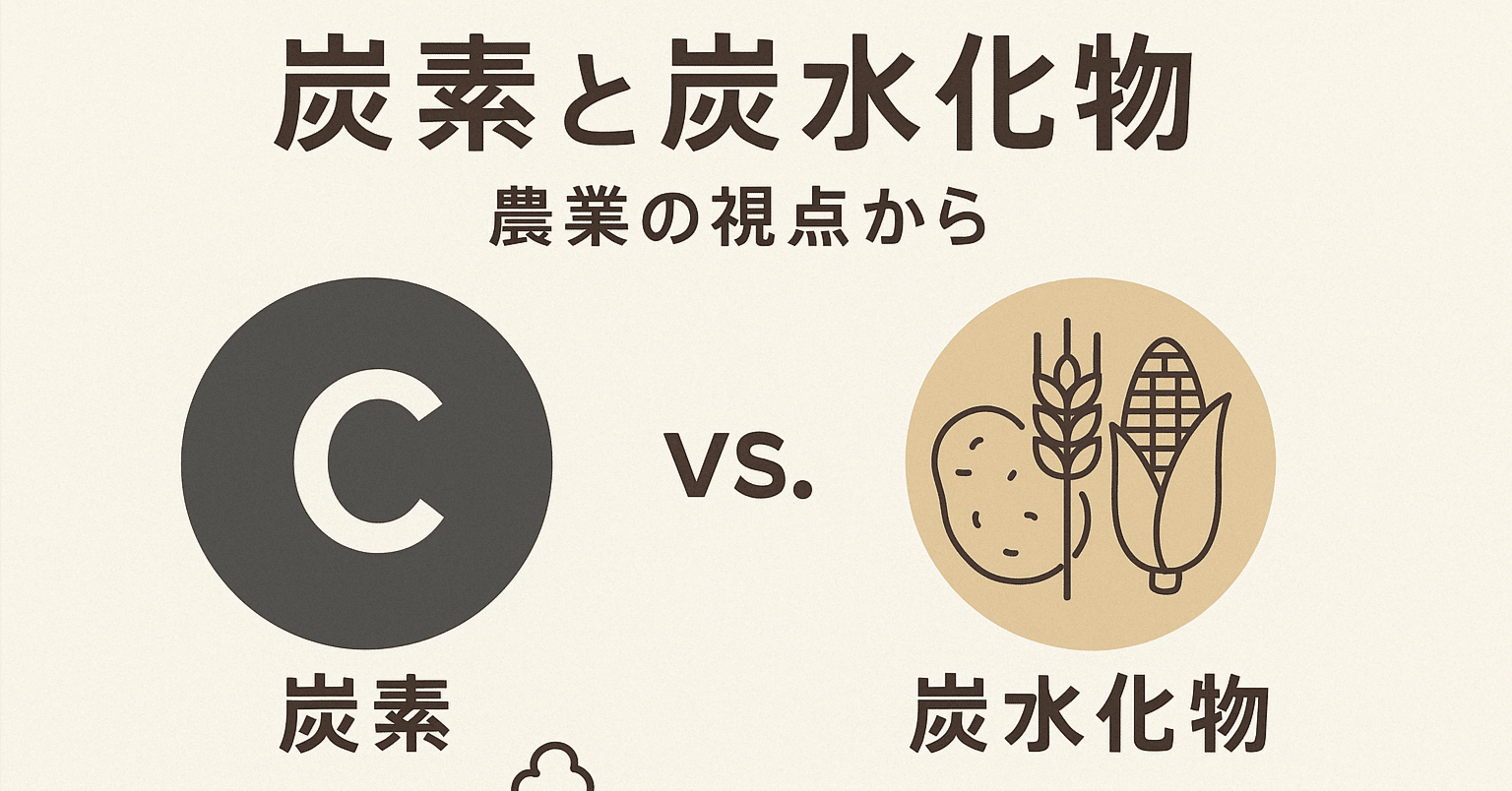 炭素と炭水化物 ― 農業の視点から｜オーガニックファーム金杉農園