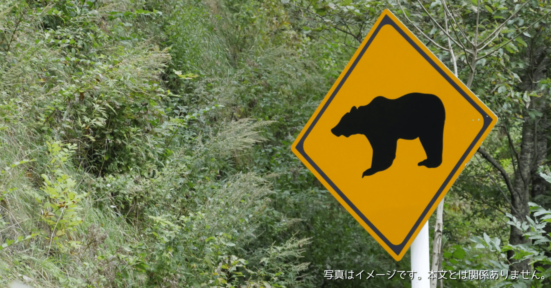 POLICE MAGNUMの熊撃退スプレーはどうなの？ 全国の複数の国公立機関