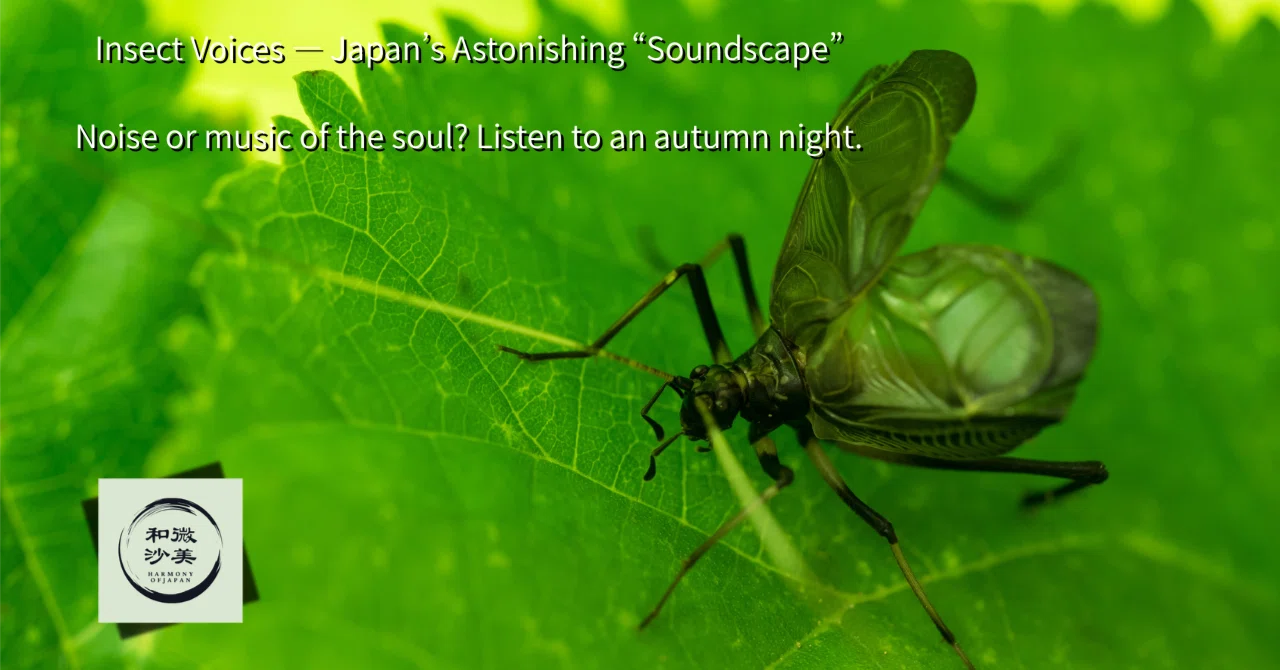 Japanese Insect Sound Insect Voices — Japan’s Astonishing “Soundscape”|和の季節便り|辻脇崇