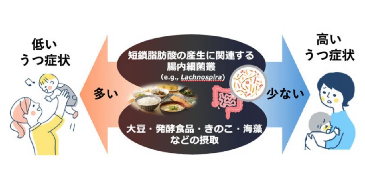 最新｜産後女性のうつ症状は短鎖脂肪酸の産生に関わる腸内細菌叢と食習慣に関連
