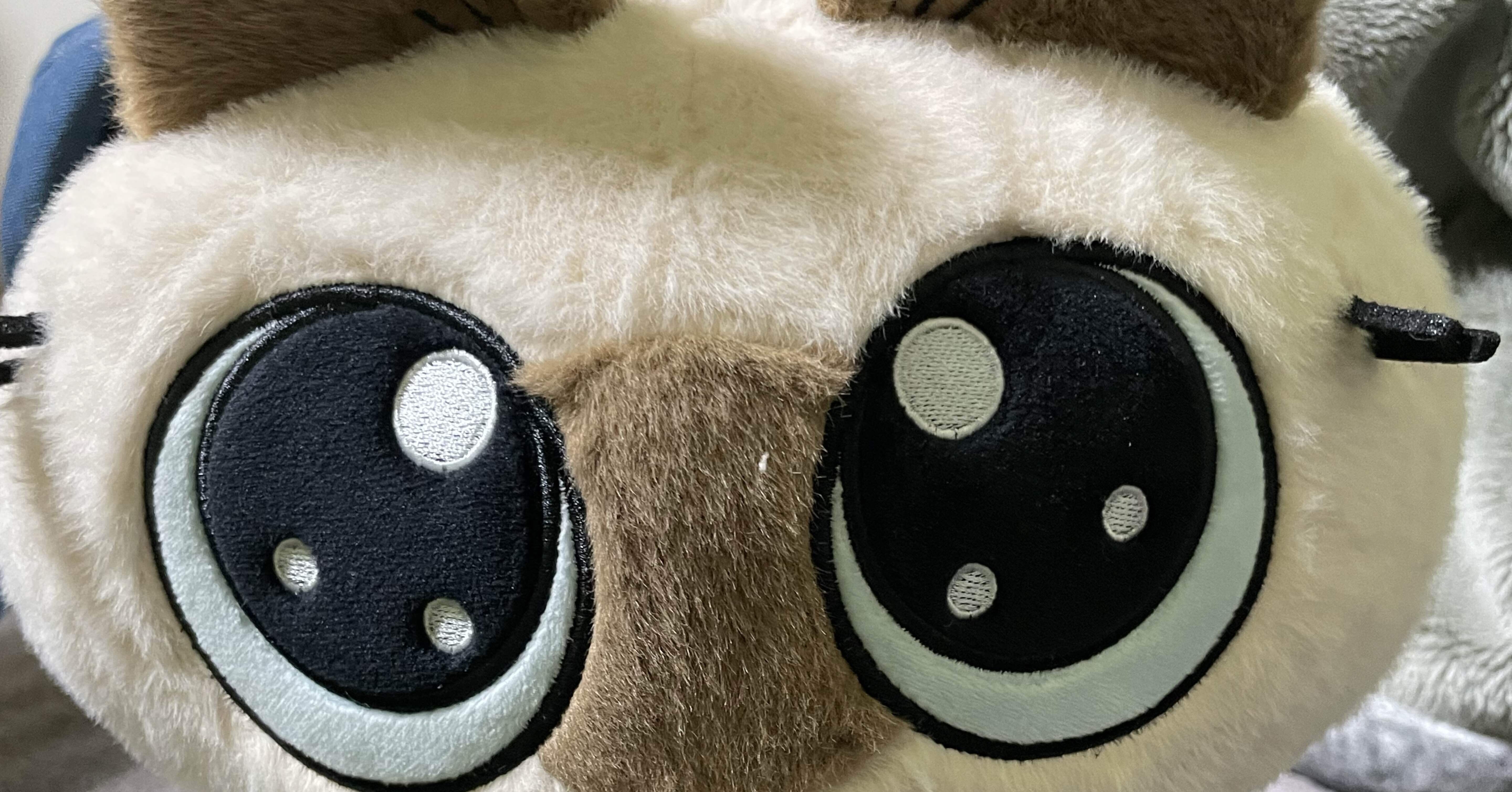 けあねこ(=^・^=) 2月22日は #猫の日 🐱 猫耳新幹線ファステック360Sは猫と仲良しだ