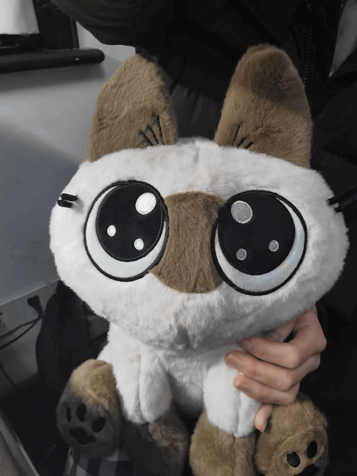 あずきさんせんよう のべ子とシャム猫あずきさん on X