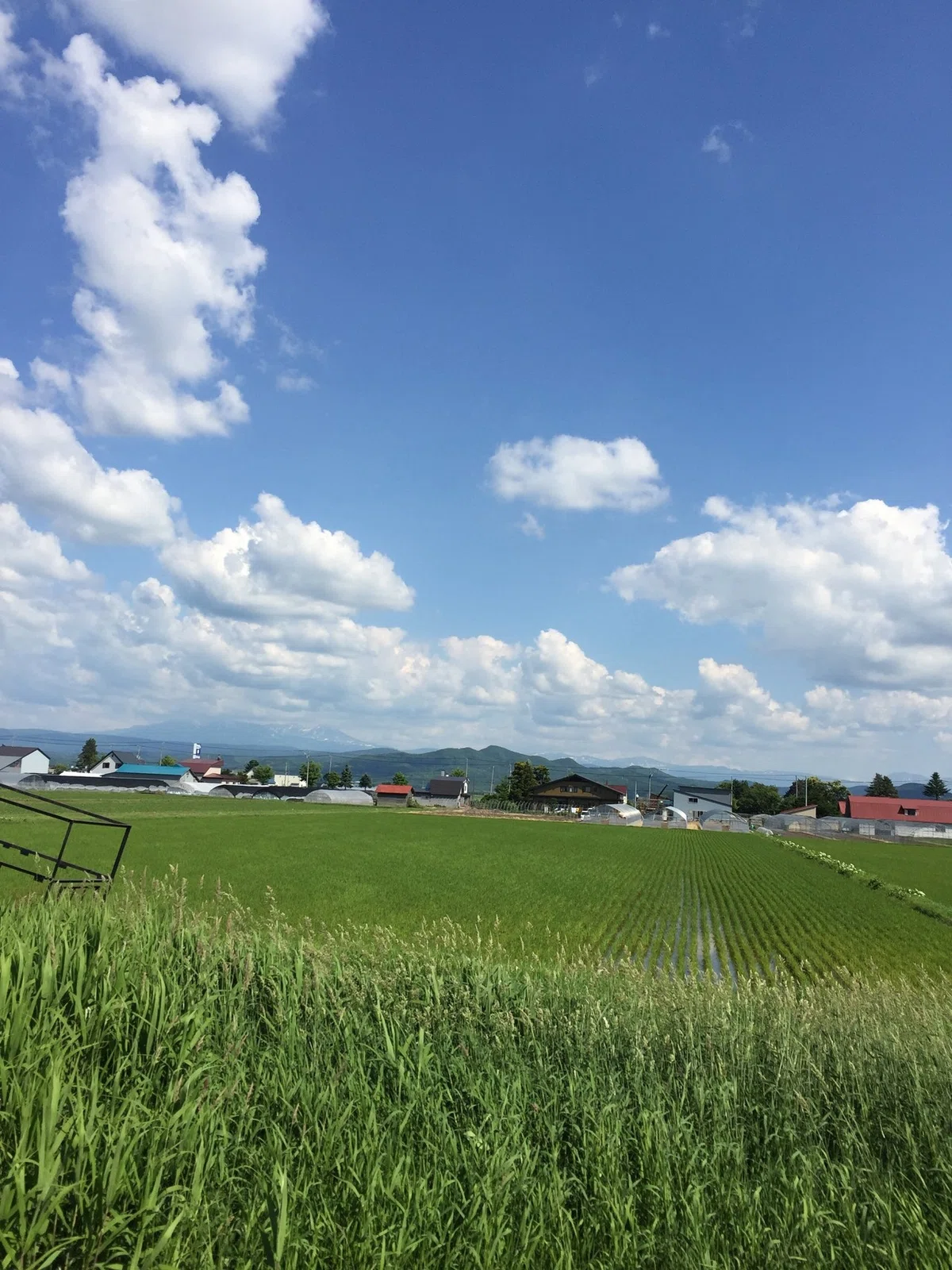 画像17