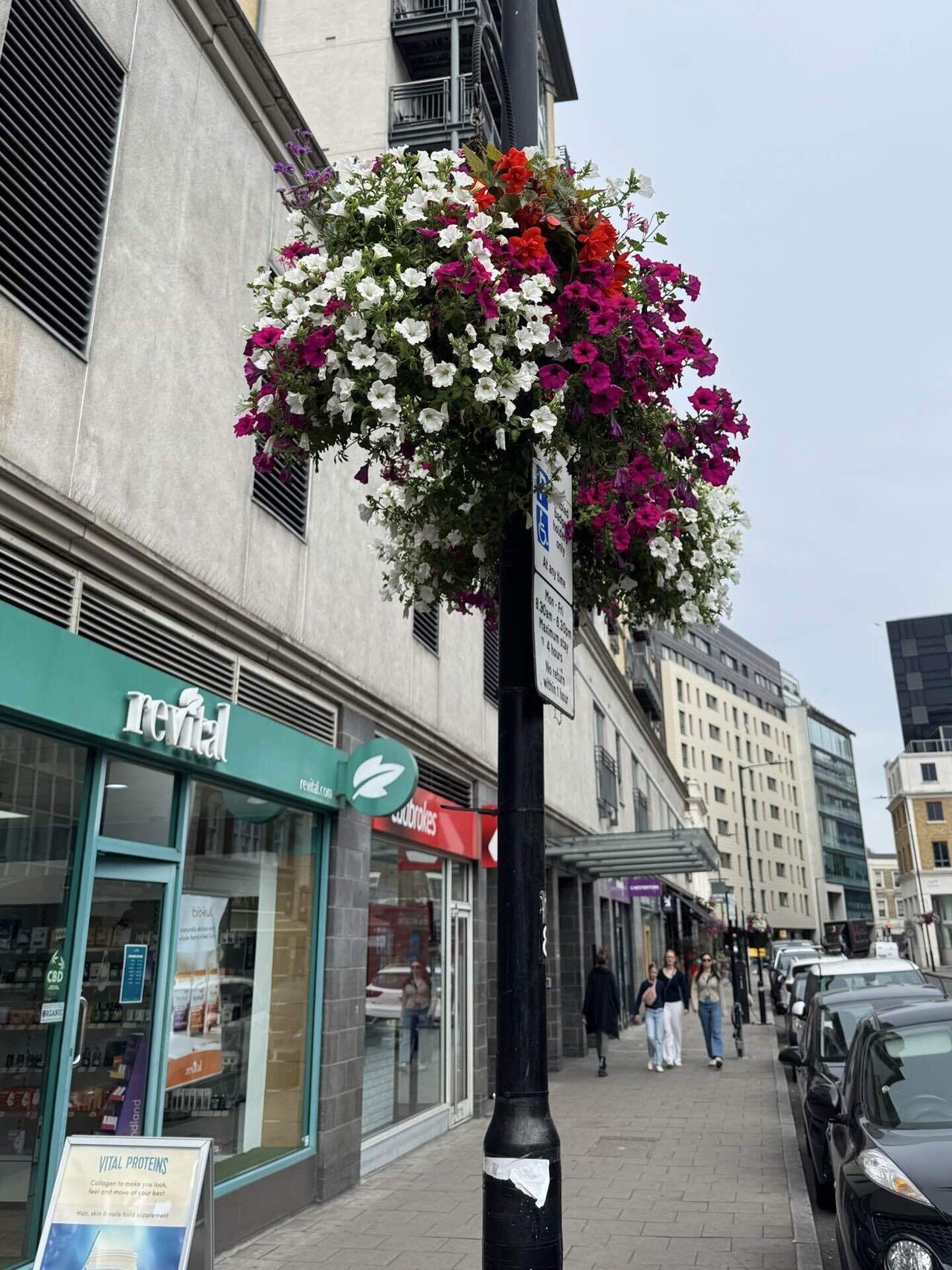 イギリス　英国　アボッツバリー白鳥飼養所600年　5種完 NH Day3】ロンドン散歩🚶‍♀️ハリポタ9¾番線、大英博物館