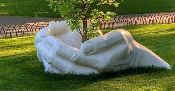 白樺の木 | Soul of Siberia｜ソウルオブシベリア｜Soul of Siberia