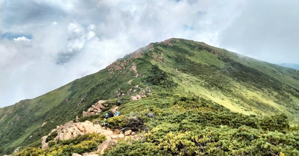 感受性訓練―Tグループの理論と方法 (1971年) 感受性訓練―Tグループの理論と方法 (1971年) | L. P. ブラッド