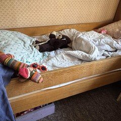 古賀及子の日記文学 デビュー作『ちょっと踊ったりすぐにかけだす