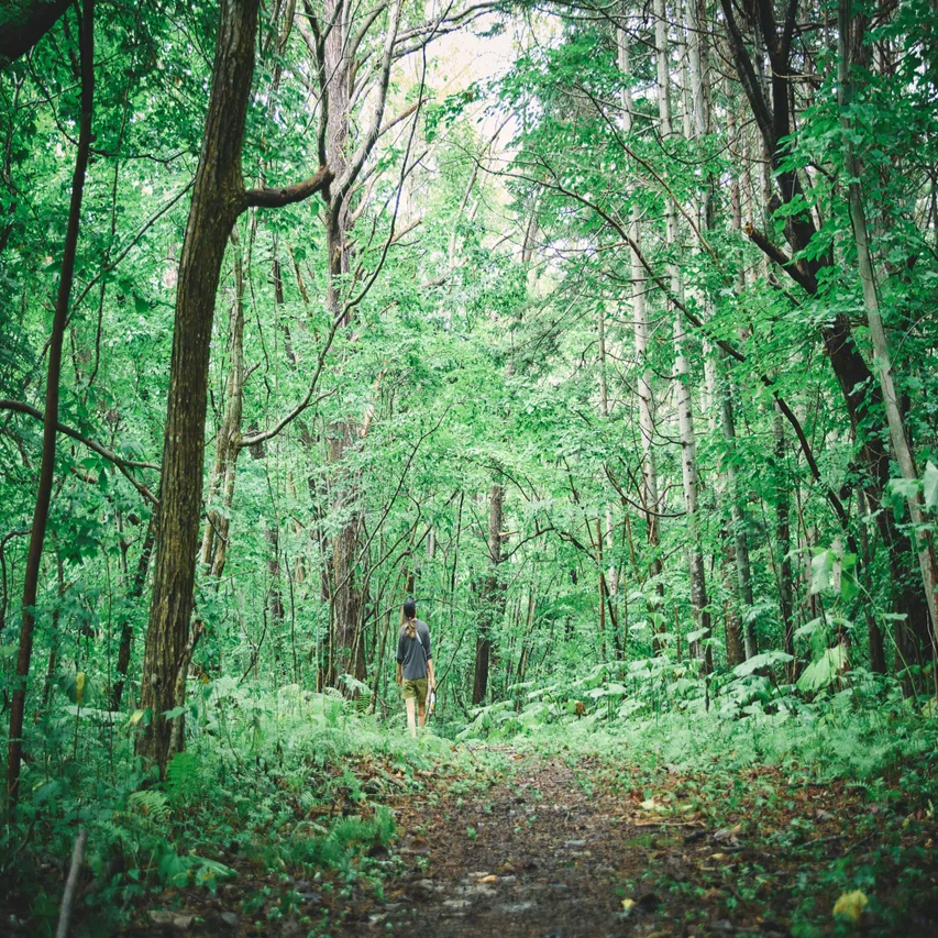 地元の自然を楽しみ、守る心を育てる草の根活動｜MOMO / ZERODAY