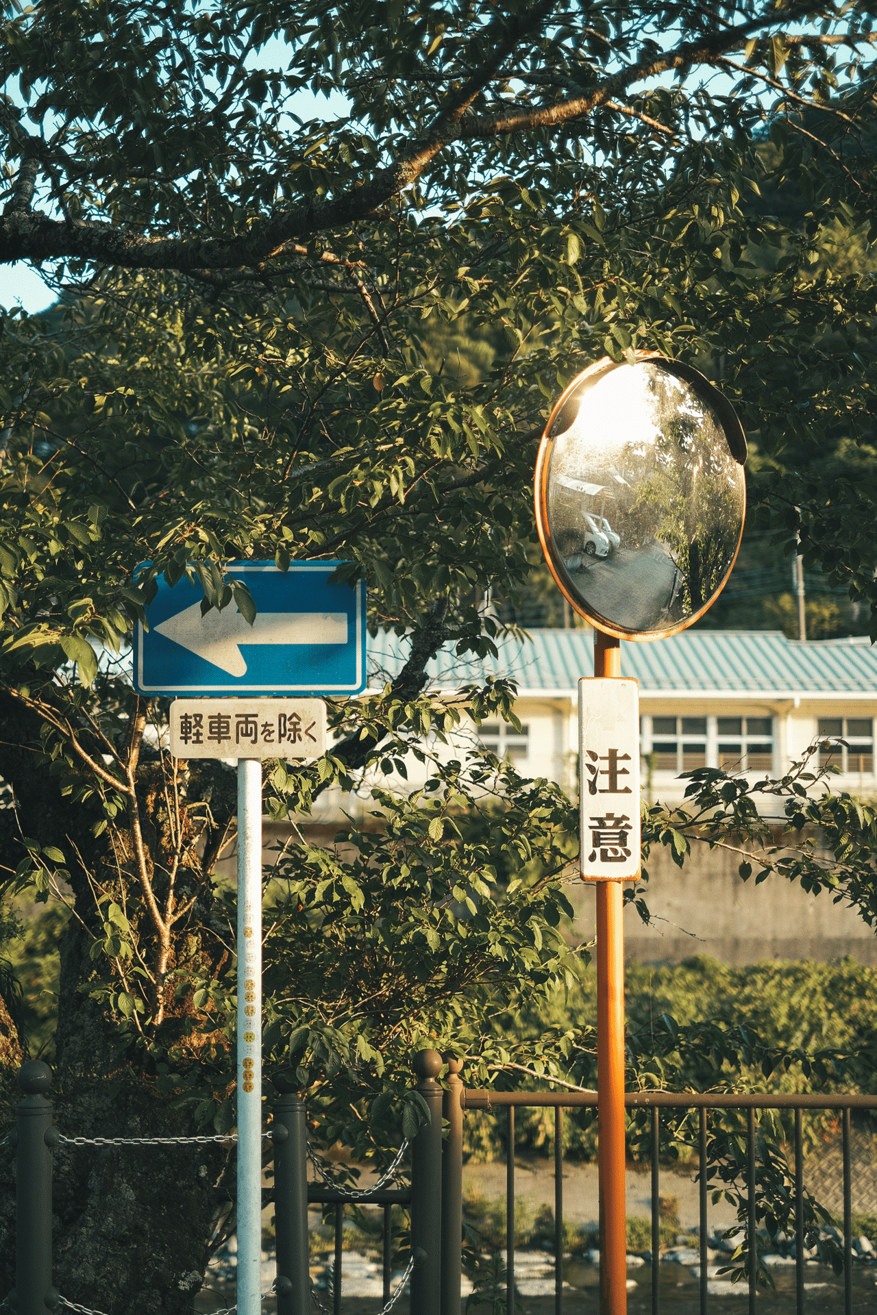 写真でわかる方お願いします PICTURES – 写真・映像・イラストと出合うウェブマガジン