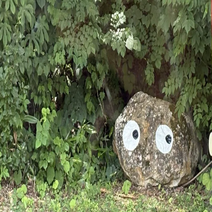 フジロックでもう一つのヘッドライナー？苗場の森に潜む「ゴンちゃん
