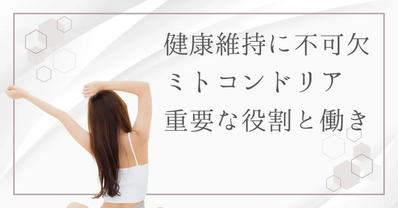 最新｜ミトコンドリアとは？人間の体を動かす「エネルギー工場」の神秘