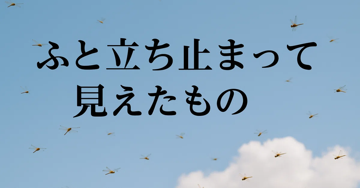 見出し画像