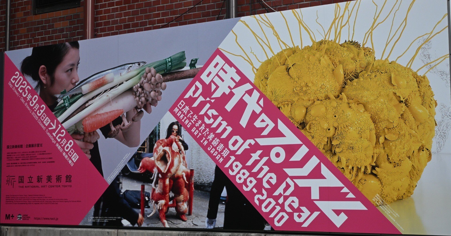 日本で生まれた芸術表現｜桑原亘之介