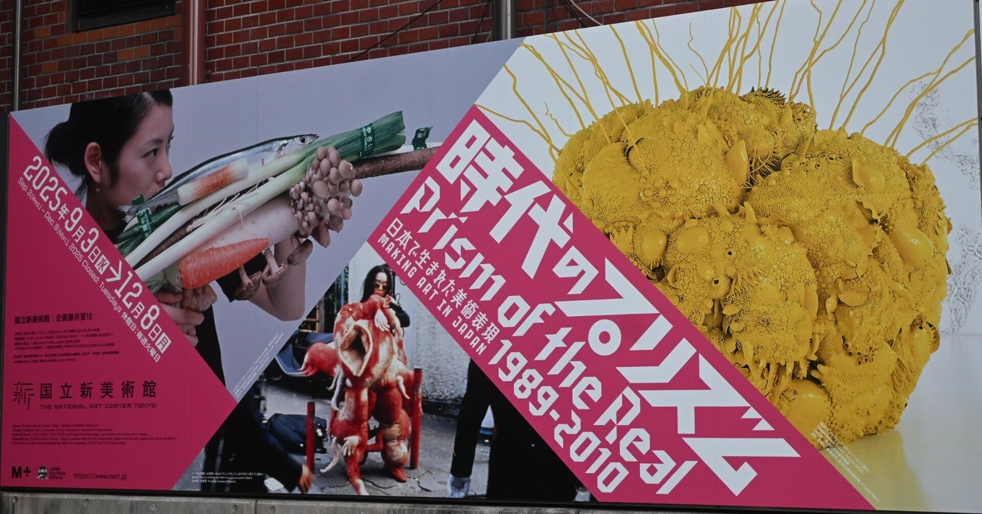 日本で生まれた芸術表現｜桑原亘之介